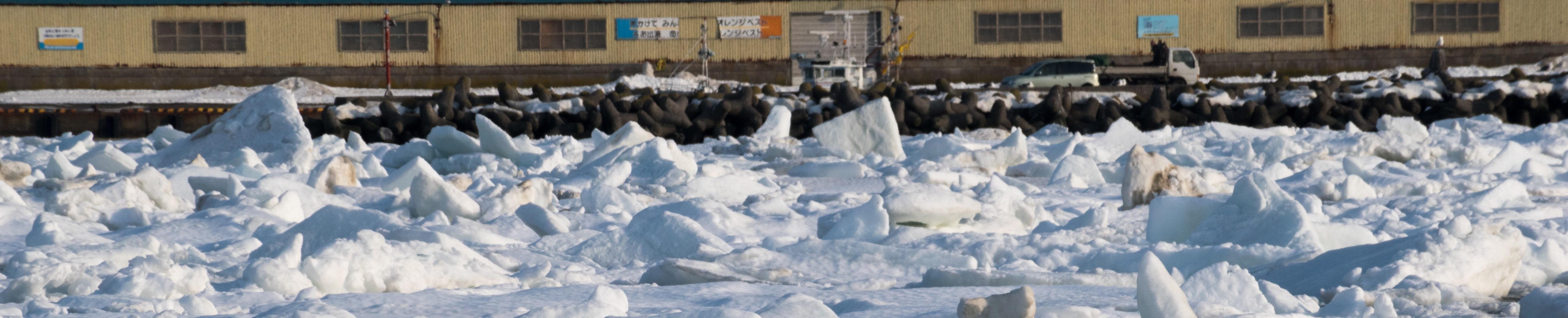 DSC_0061 - コピー